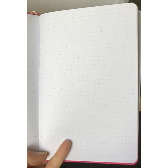 Legend Planner Deluxe Budget Planner & Schedule Organizer Weekly, Monthly, Pink - Picture 12 of 14